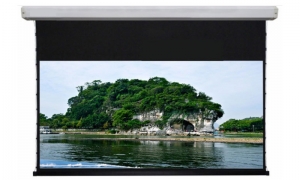 AV Screen BX-SF120BXH-TR 266x149 �� (16:9)