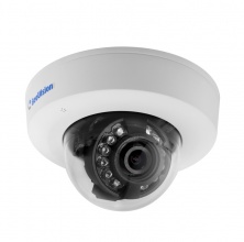 GeoVision GV-EFD1100-2F