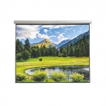 Electric screen with remote control 350x219cm Matt White